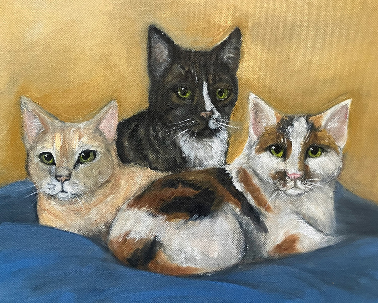 Pet Portfolio Ginger, Breeze & Mistletoe