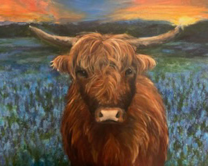 Pet Portfolio Highland Cow